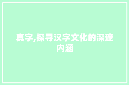 真字,探寻汉字文化的深邃内涵