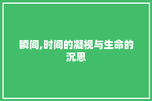 瞬间,时间的凝视与生命的沉思 职场写作