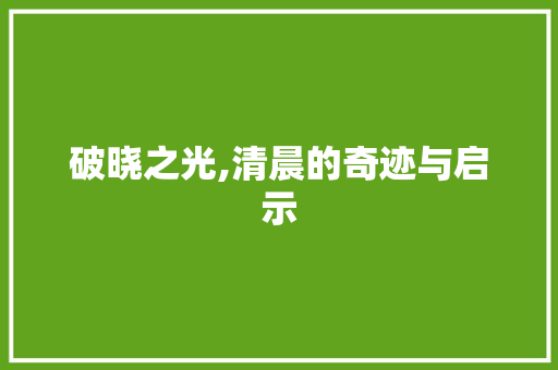 破晓之光,清晨的奇迹与启示 诗词应用