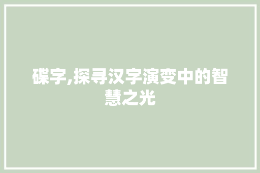 碟字,探寻汉字演变中的智慧之光