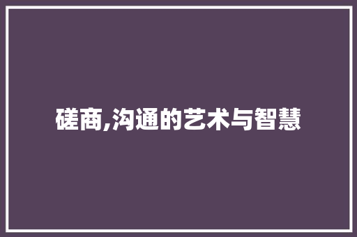 磋商,沟通的艺术与智慧