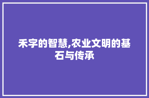 禾字的智慧,农业文明的基石与传承
