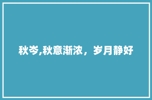 秋岑,秋意渐浓，岁月静好