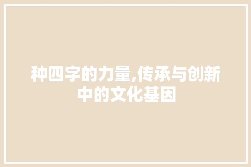 种四字的力量,传承与创新中的文化基因