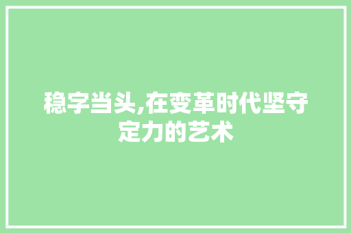 稳字当头,在变革时代坚守定力的艺术