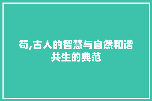 笱,古人的智慧与自然和谐共生的典范