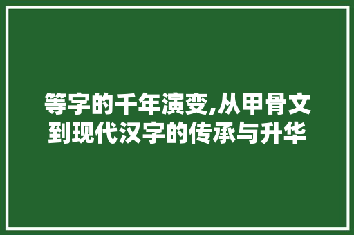 等字的千年演变,从甲骨文到现代汉字的传承与升华