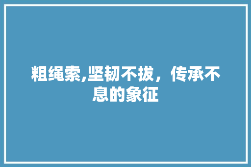 粗绳索,坚韧不拔，传承不息的象征 诗词鉴赏