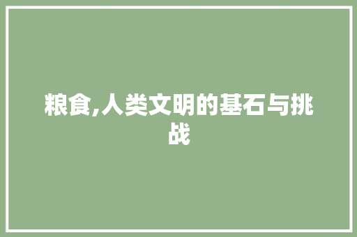 粮食,人类文明的基石与挑战