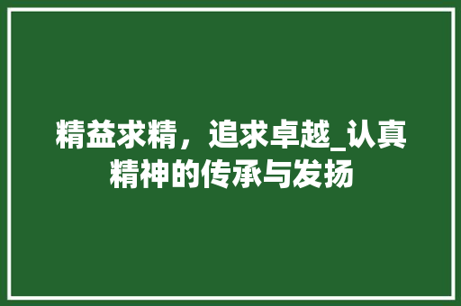 精益求精，追求卓越_认真精神的传承与发扬