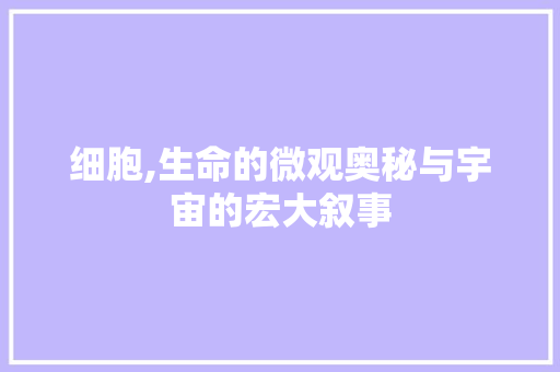 细胞,生命的微观奥秘与宇宙的宏大叙事
