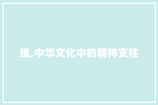 维,中华文化中的精神支柱