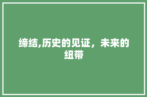 缔结,历史的见证，未来的纽带