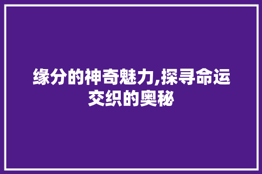 缘分的神奇魅力,探寻命运交织的奥秘 诗词鉴赏