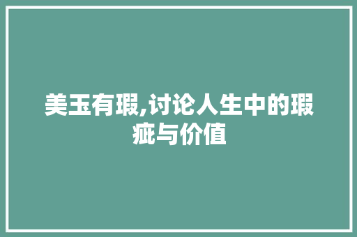 美玉有瑕,讨论人生中的瑕疵与价值