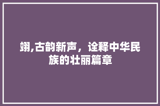 翊,古韵新声，诠释中华民族的壮丽篇章 会议纪要