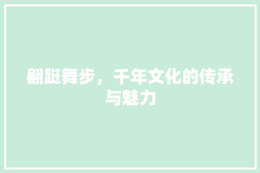 翩跹舞步，千年文化的传承与魅力 社交媒体