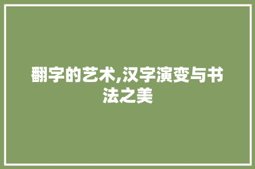 翻字的艺术,汉字演变与书法之美