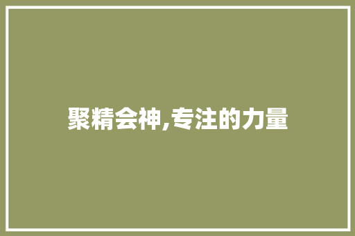 聚精会神,专注的力量