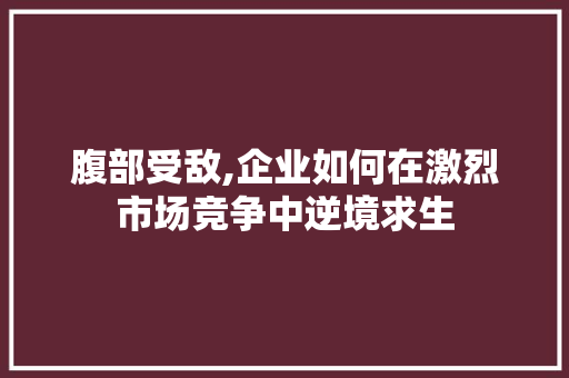 腹部受敌,企业如何在激烈市场竞争中逆境求生