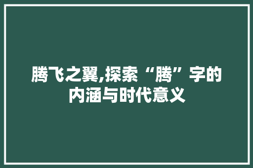 腾飞之翼,探索“腾”字的内涵与时代意义