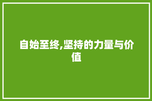自始至终,坚持的力量与价值