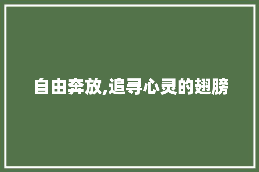 自由奔放,追寻心灵的翅膀