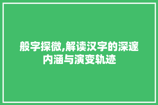 般字探微,解读汉字的深邃内涵与演变轨迹