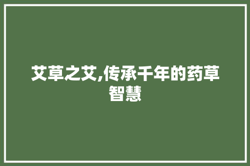 艾草之艾,传承千年的药草智慧