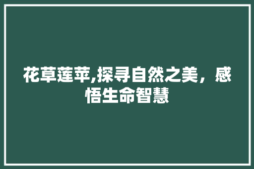 花草莲苹,探寻自然之美，感悟生命智慧
