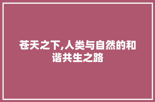 苍天之下,人类与自然的和谐共生之路