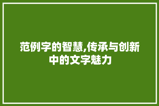 范例字的智慧,传承与创新中的文字魅力