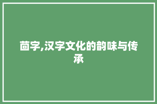 茴字,汉字文化的韵味与传承