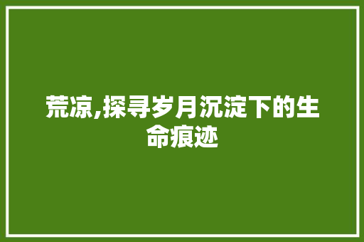 荒凉,探寻岁月沉淀下的生命痕迹