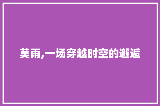 莫雨,一场穿越时空的邂逅