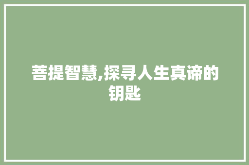 菩提智慧,探寻人生真谛的钥匙