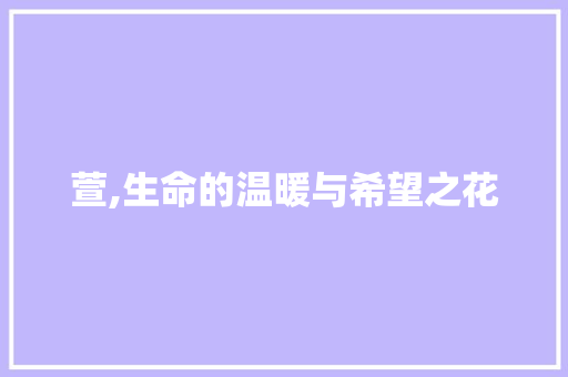 萱,生命的温暖与希望之花