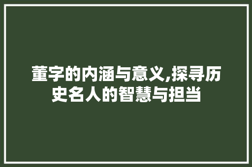 董字的内涵与意义,探寻历史名人的智慧与担当