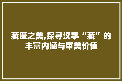藏匿之美,探寻汉字“藏”的丰富内涵与审美价值