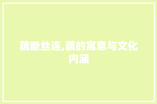 藕断丝连,藕的寓意与文化内涵