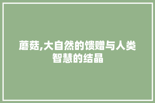 蘑菇,大自然的馈赠与人类智慧的结晶