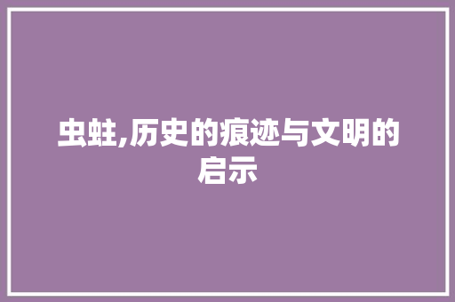 虫蛀,历史的痕迹与文明的启示