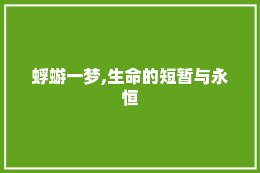 蜉蝣一梦,生命的短暂与永恒