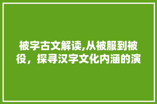 被字古文解读,从被服到被役，探寻汉字文化内涵的演变