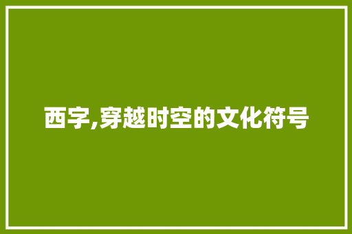 西字,穿越时空的文化符号