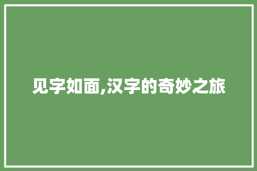 见字如面,汉字的奇妙之旅