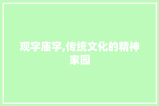 观字庙宇,传统文化的精神家园 项目报告