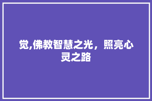 觉,佛教智慧之光，照亮心灵之路