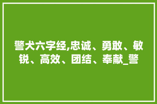 警犬六字经,忠诚、勇敢、敏锐、高效、团结、奉献_警犬的使命与荣耀