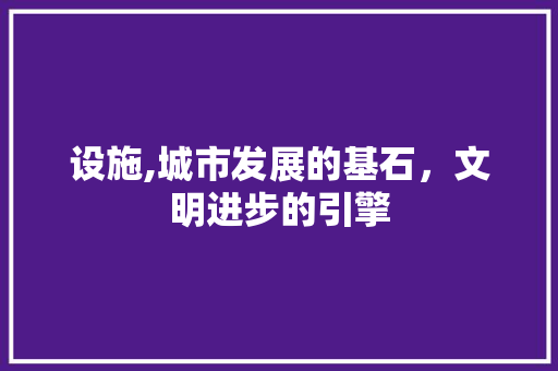 设施,城市发展的基石，文明进步的引擎 工作总结